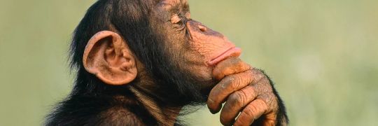 jpmartinelli33's profile banner image