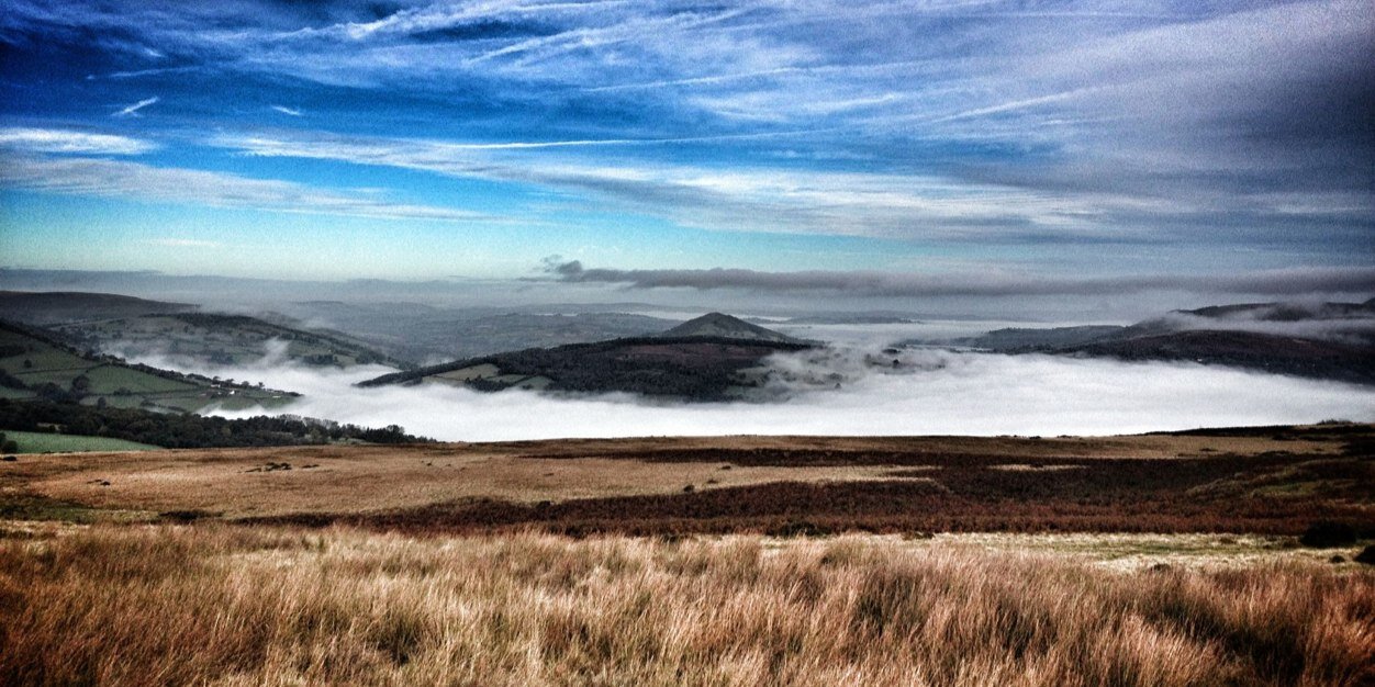 Lord Hoptimus banner