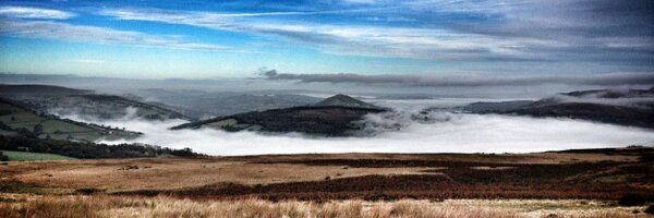 Sparkyrite Profile Banner