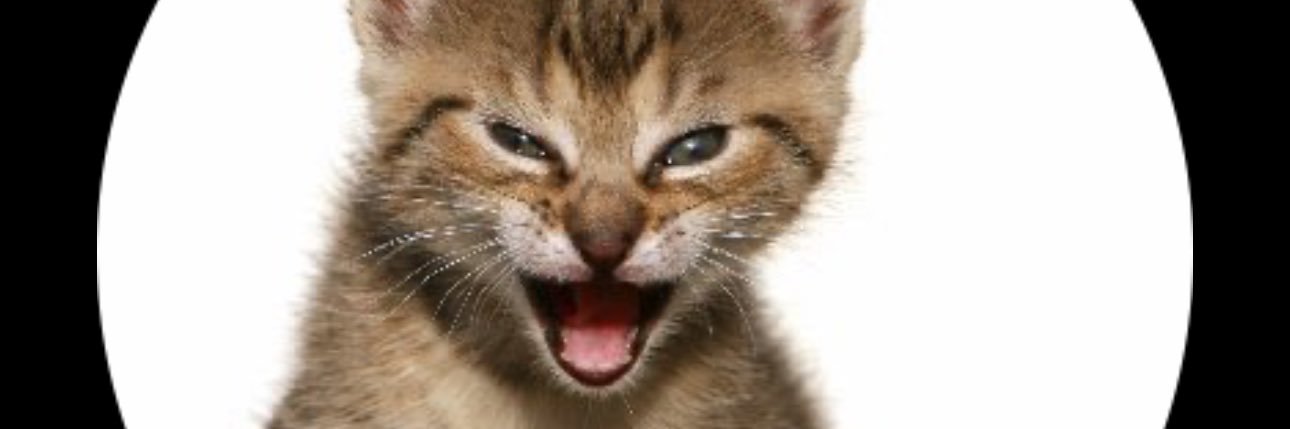 çağla günaydın banner