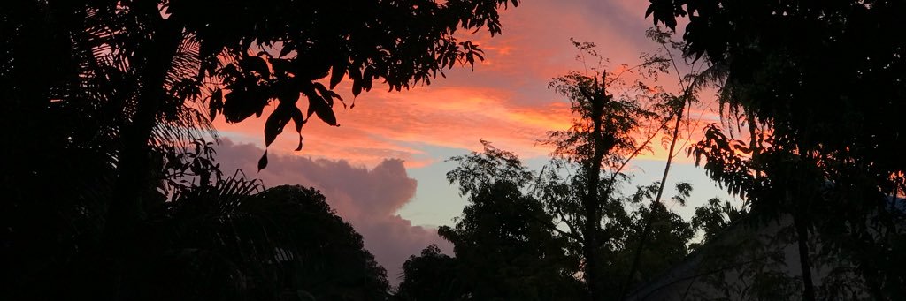 Dr Siruhan banner