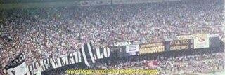 Recibo Galo banner