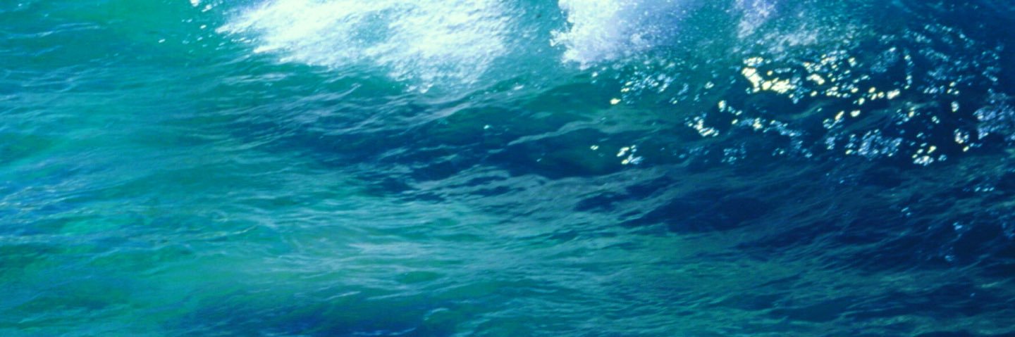 Juliana Echavarria T banner