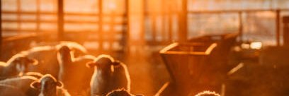 seoyeonTravels's profile banner image