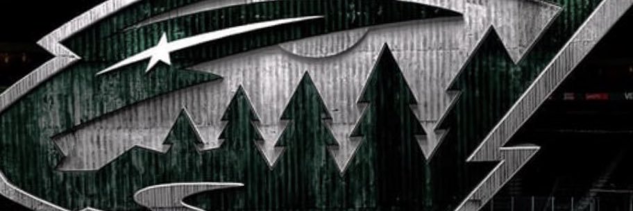 Reinkenstein9's profile banner image