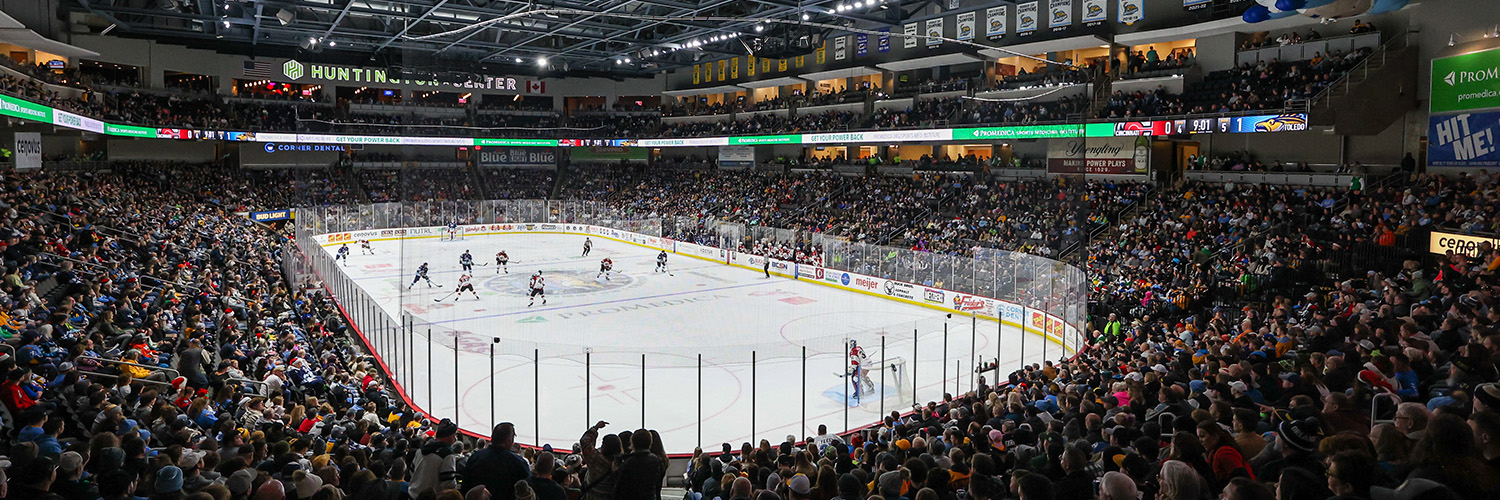 Toledo Walleye's banner