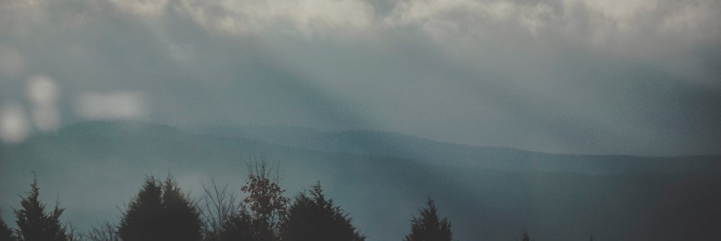 DannieAnnPhoto's profile banner image