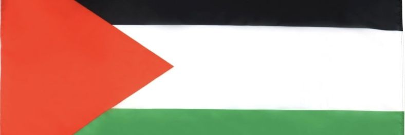 Óscar Guardingo 🇪🇸 banner