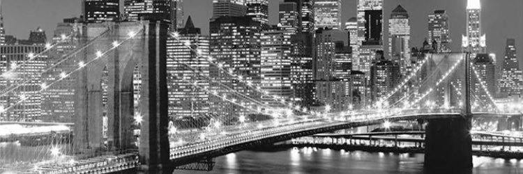 ShellMcC's profile banner image
