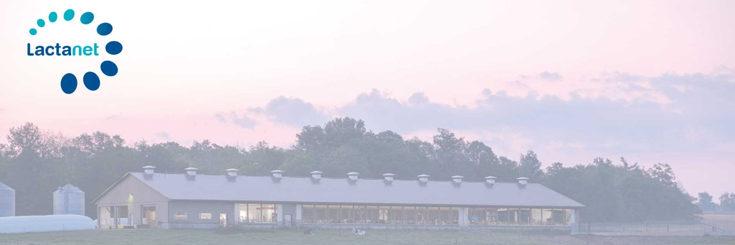 Daniel Lefebvre banner