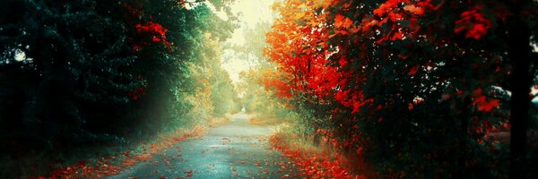 ForeverNunu Profile Banner