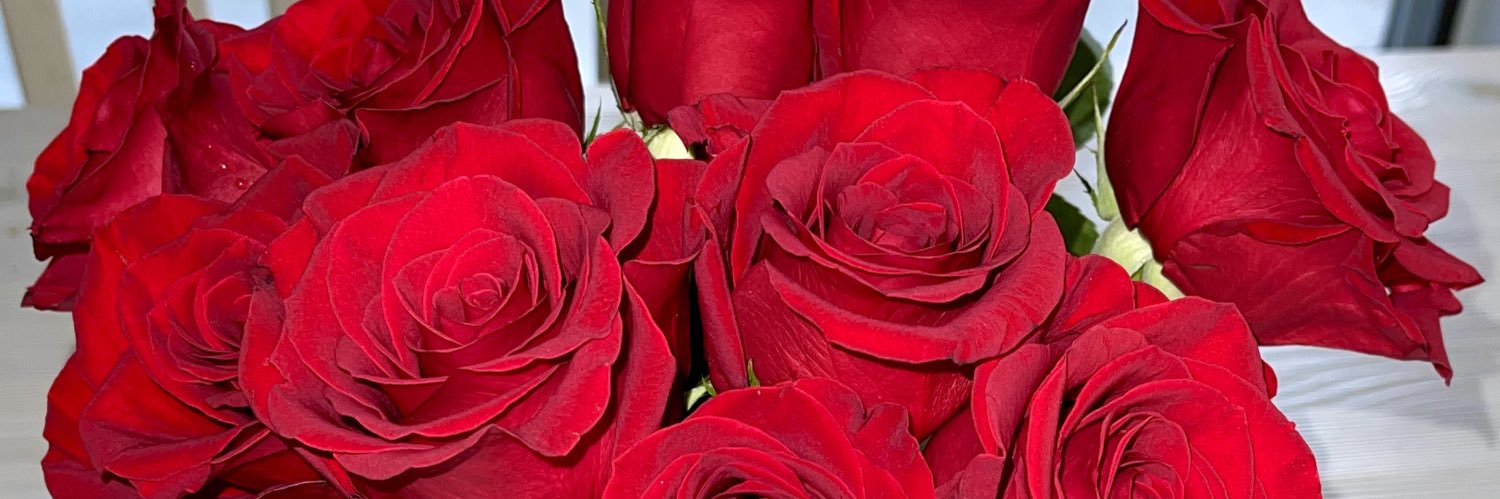 Emily Heaston banner