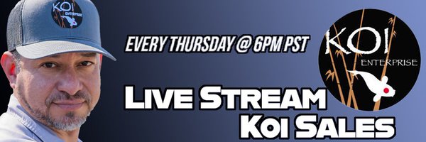 KoiEnterprise Profile Banner