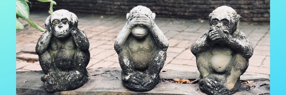 Not Fine in School banner