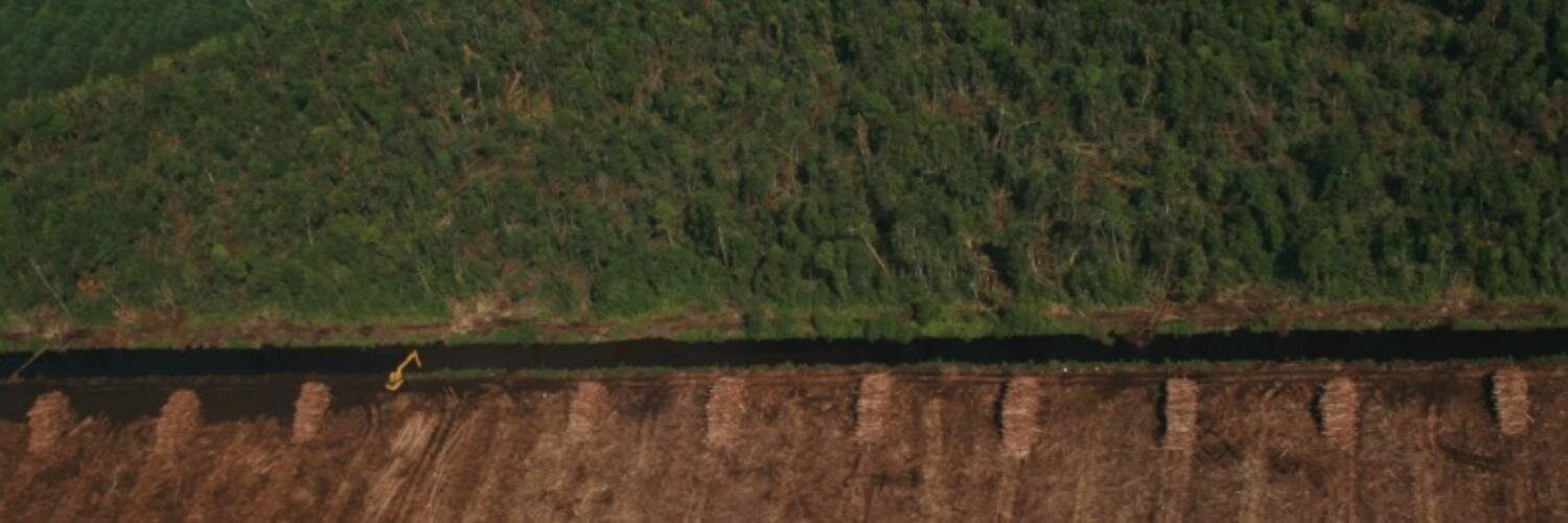 Eyesontheforest's profile banner image