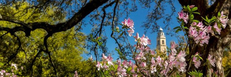 Kasey Windels banner