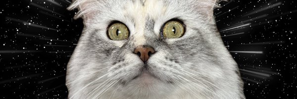 cccapq Profile Banner