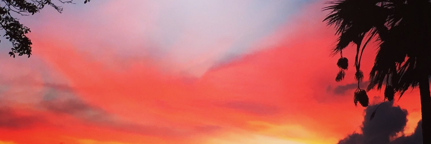 chickonmaui's profile banner image