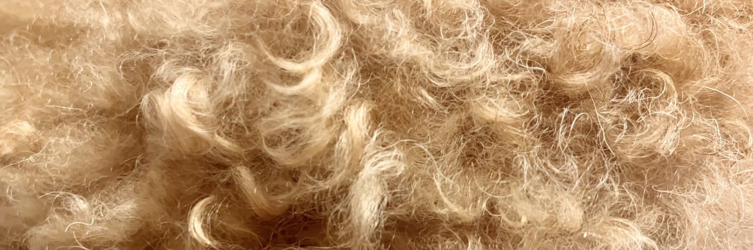 ﾁｬﾘﾝｺ🐩早寝/ﾌﾟﾛﾌ🔗あり banner