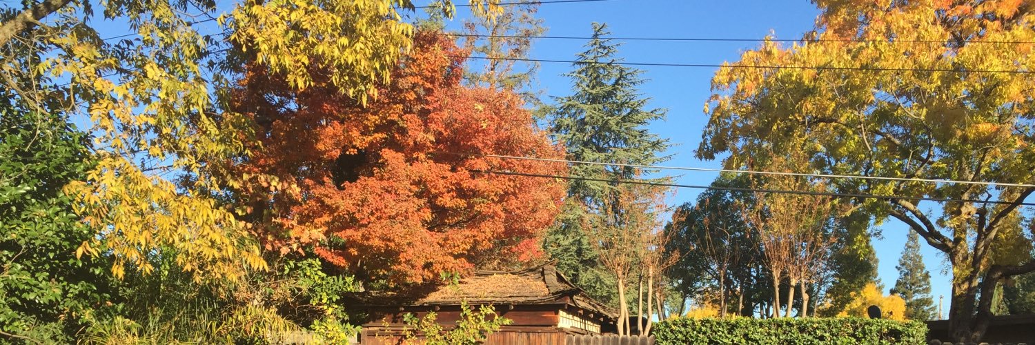 ayeJuliennee's profile banner image
