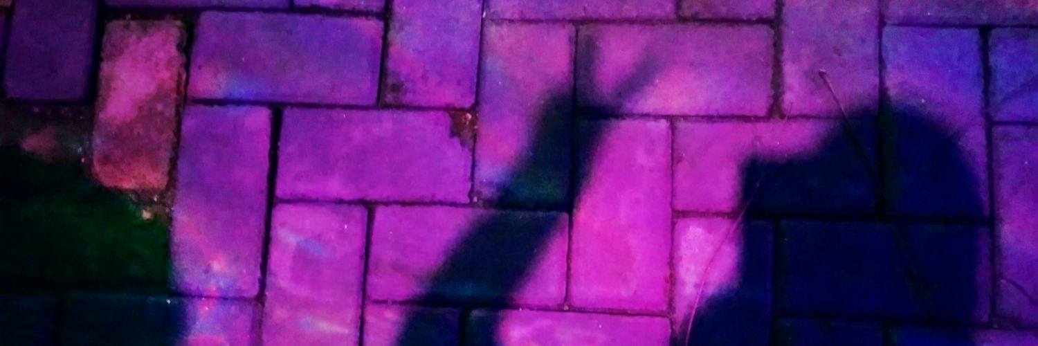 ehsipia's profile banner image