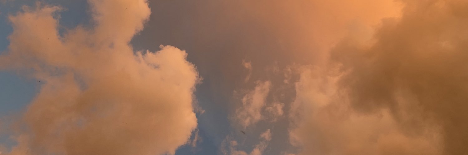 stephhdave's profile banner image