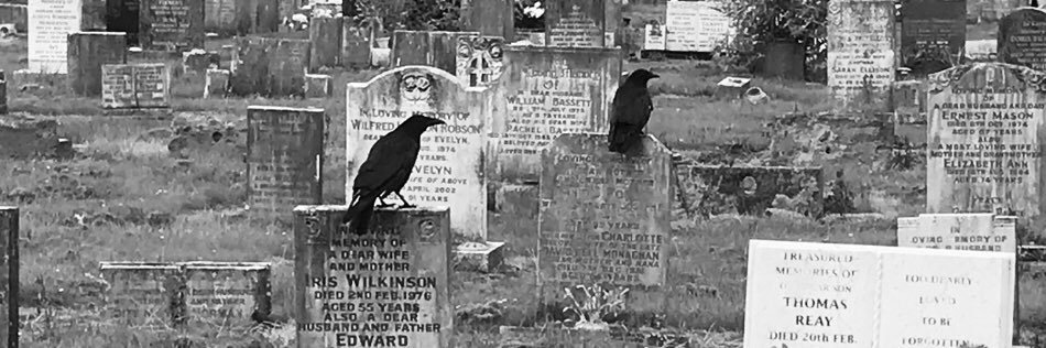 Sarah Colledge banner