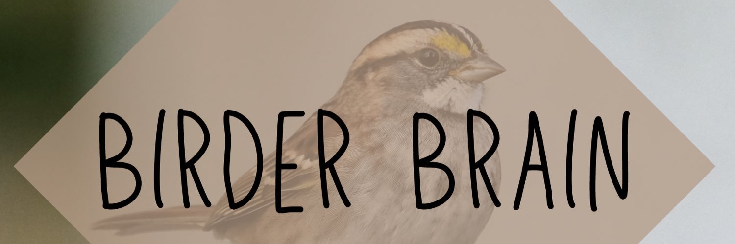 Birder Brain (birder_KS) banner