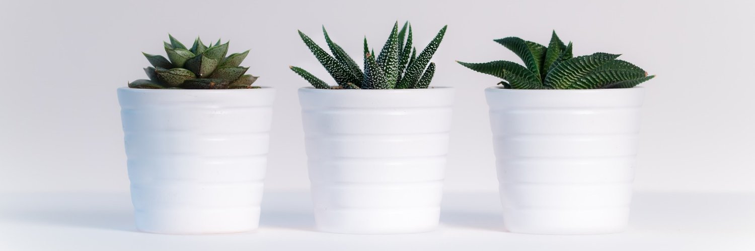 Kriskim11's profile banner image