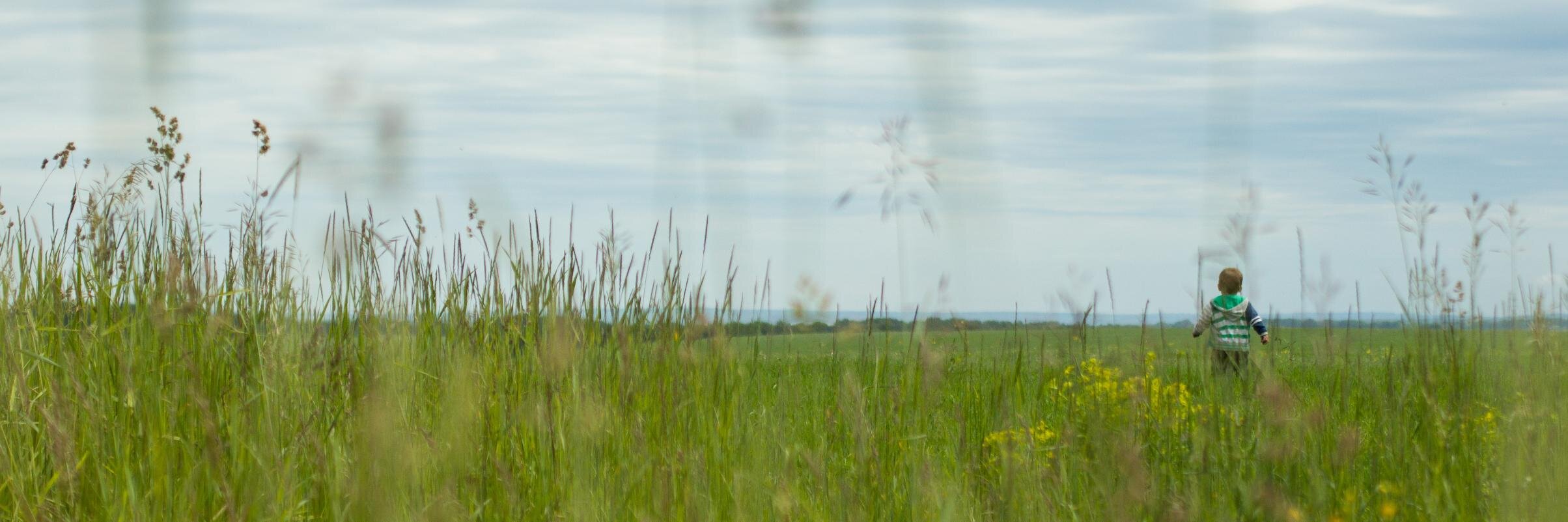 igumenshev's profile banner image