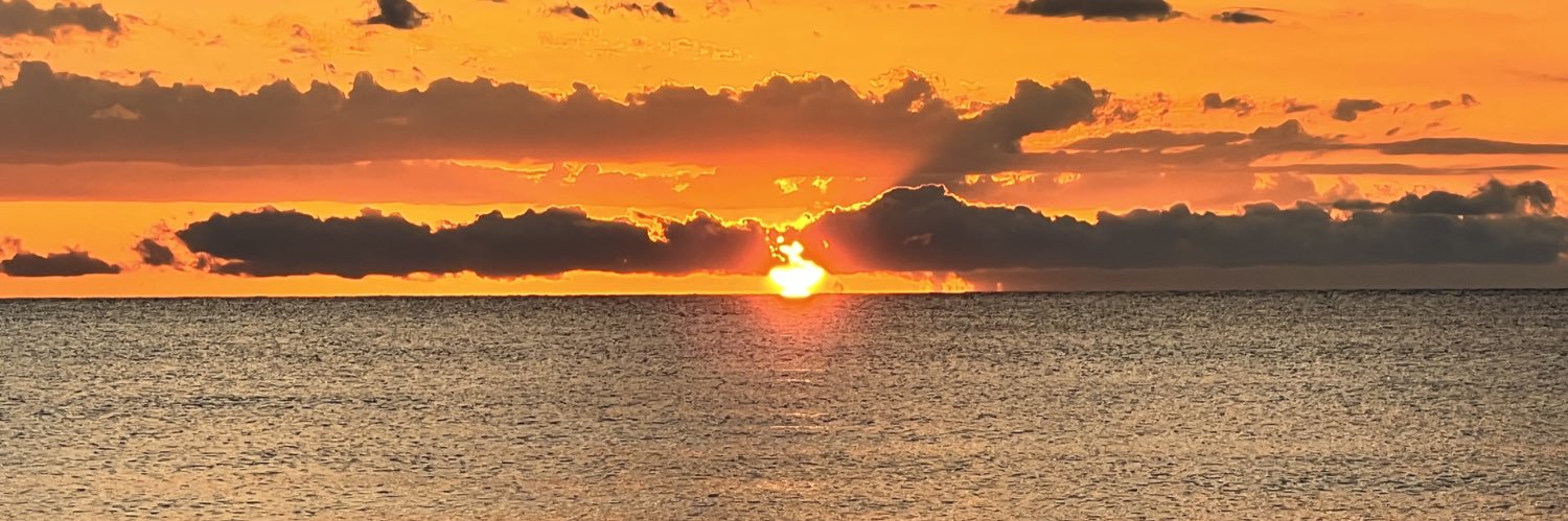 pjf8281's profile banner image