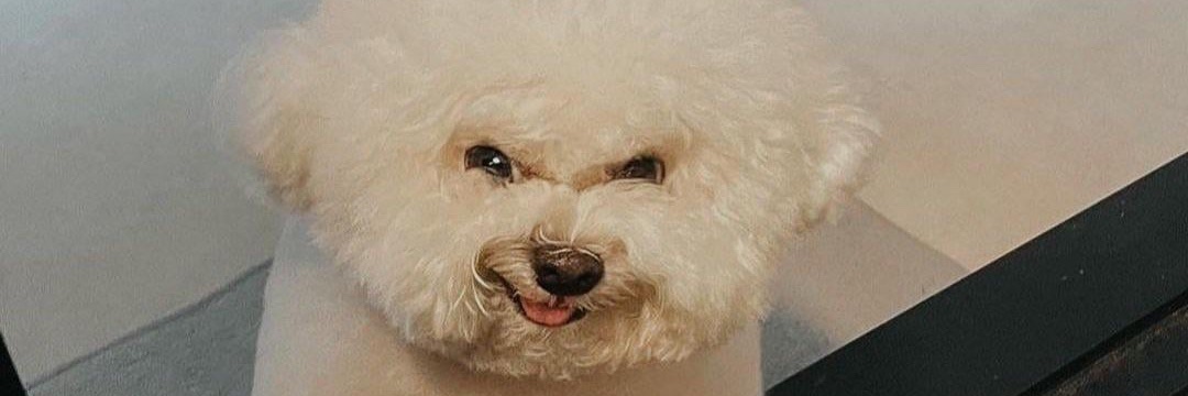 ll_bee_'s profile banner image