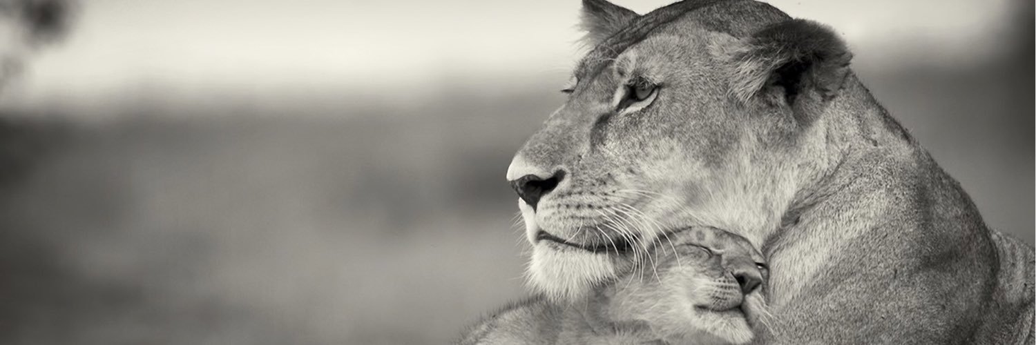 cmalcolm77's profile banner image