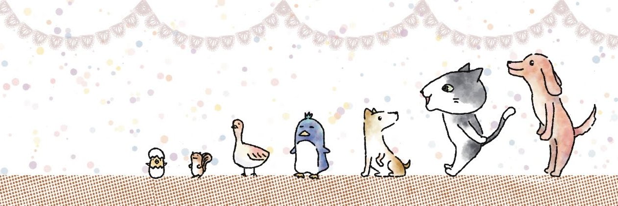 kinoko32bk's profile banner image
