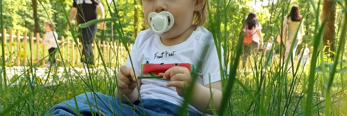 asel mina ozay banner