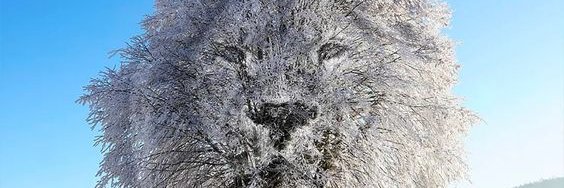 Alvach12's profile banner image