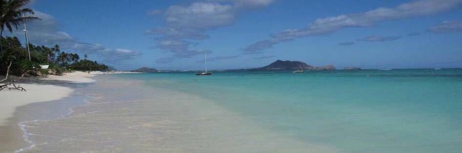 Jane Gillespie banner