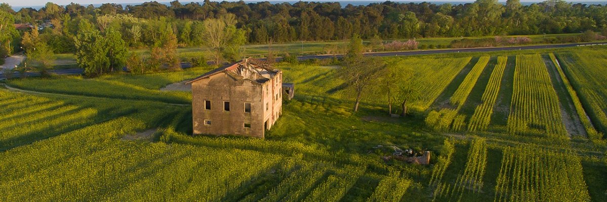 fbordi's profile banner image