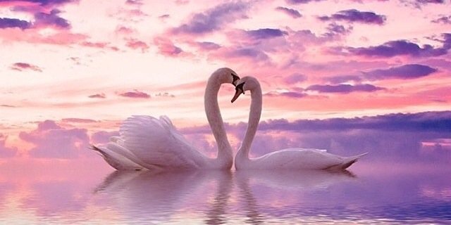 loisyasminw's profile banner image