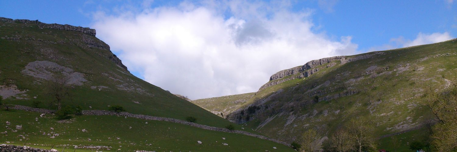 Gillian Harrison banner