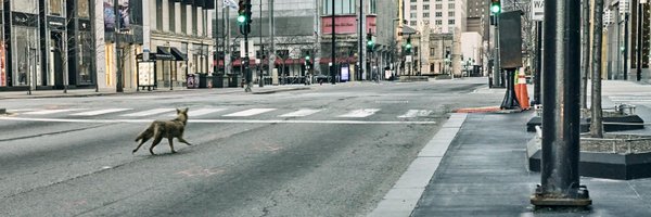 Mr_Staley's profile banner image