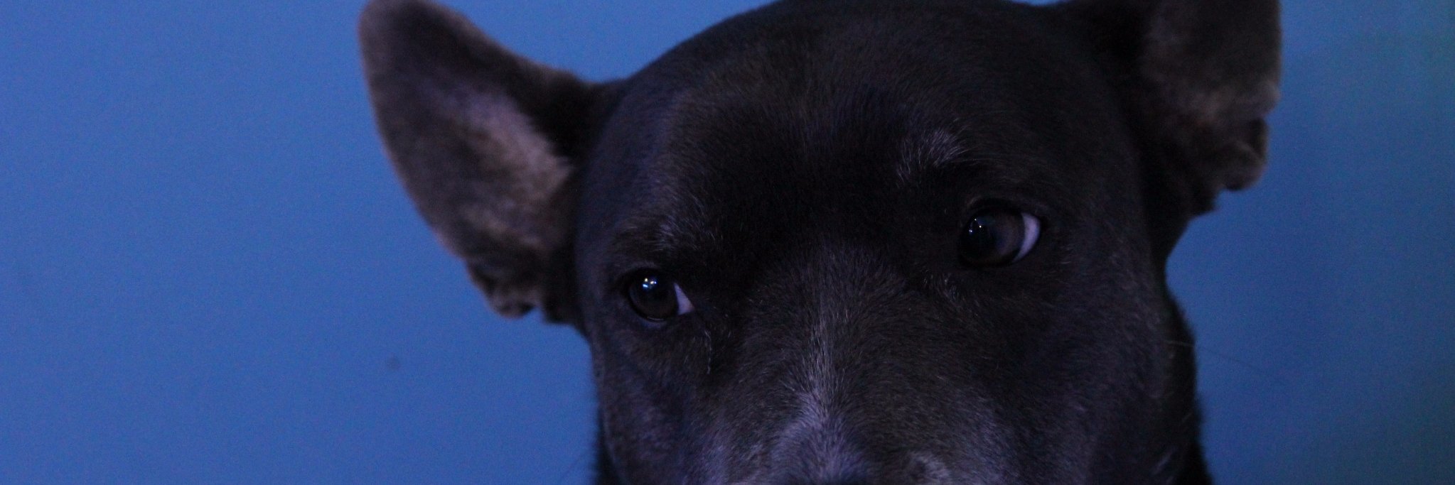 MrRMichaels's profile banner image