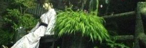 Maejynyo Profile Banner