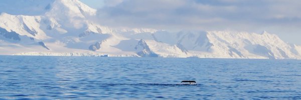 ProPolar Profile Banner