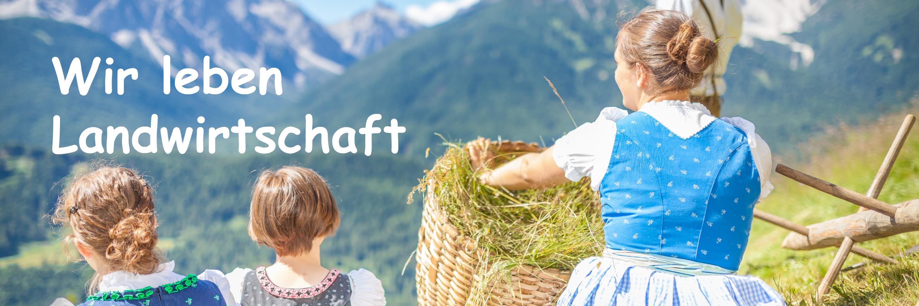 Bauernjugend's profile banner image