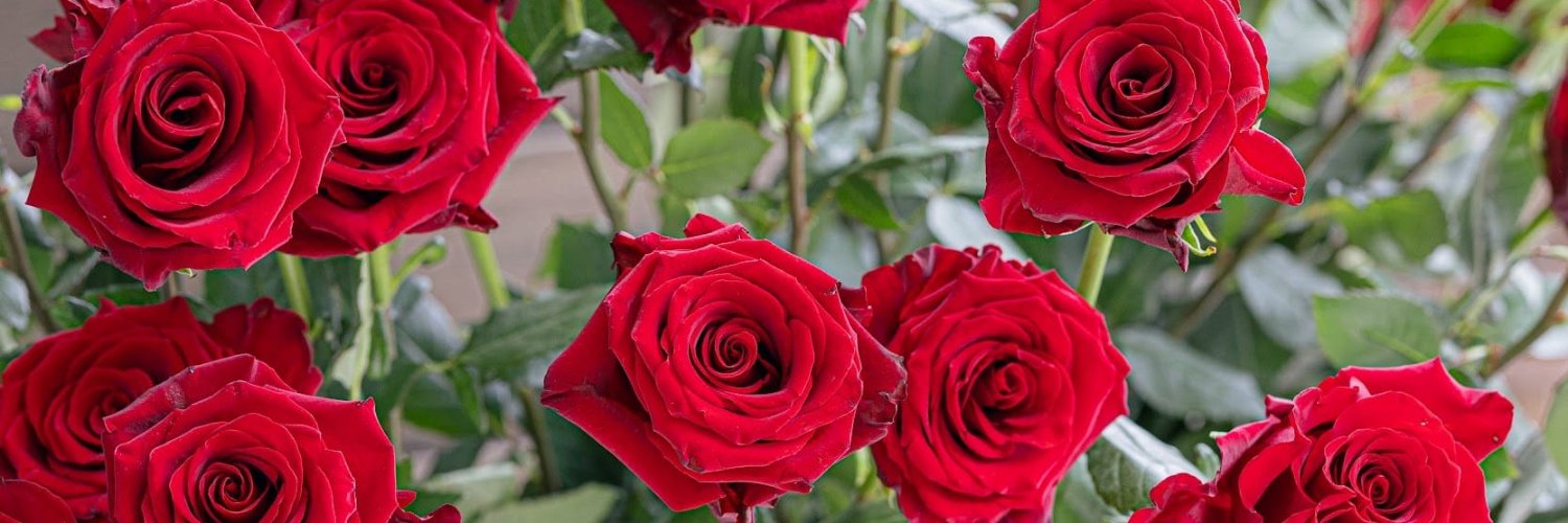_ST_KM_S_'s profile banner image