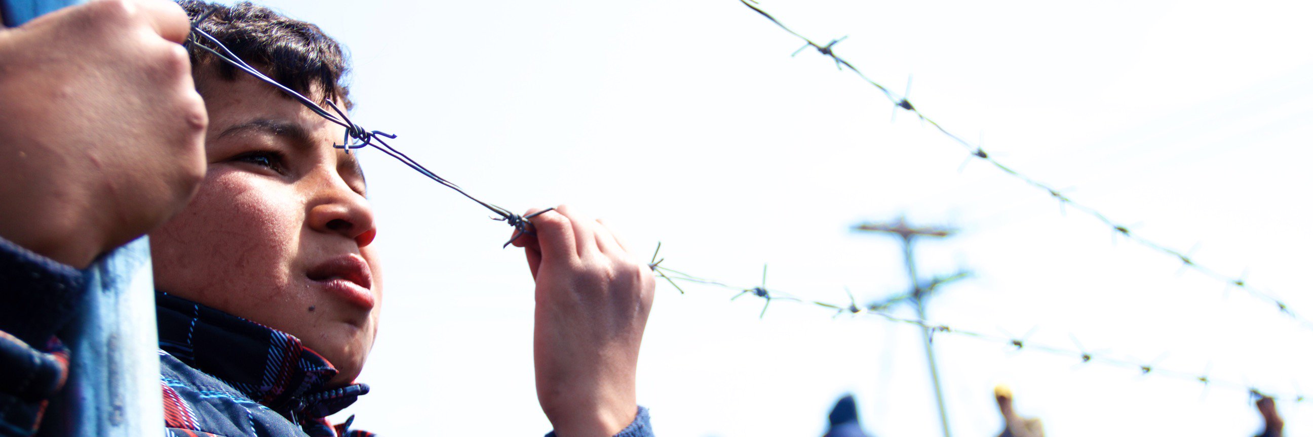 Cecilia Guardati banner