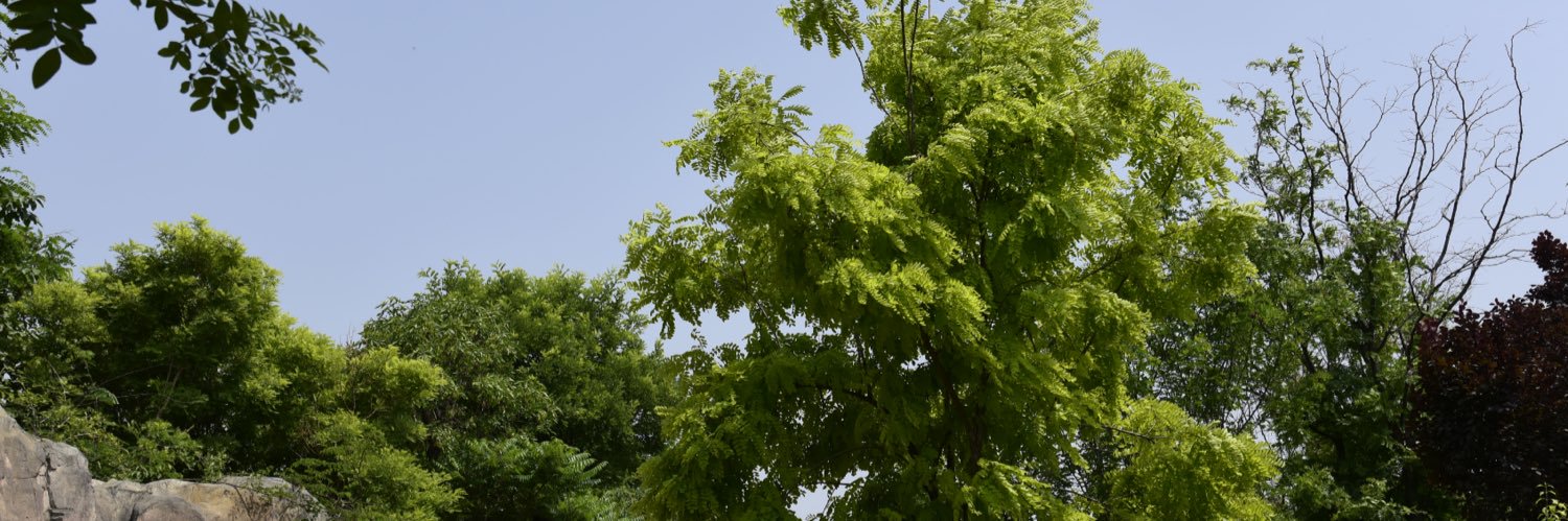 投资与周期 banner