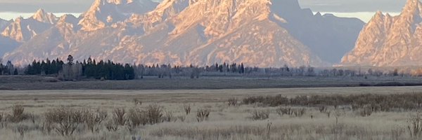 RuthMarcus Profile Banner