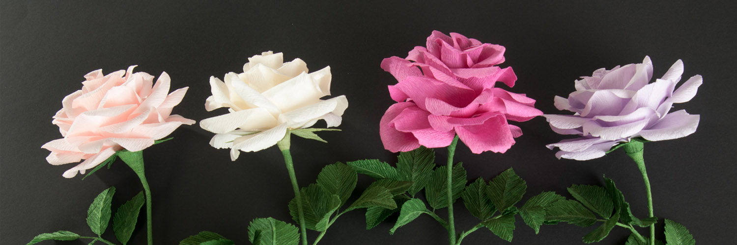 Patricia Preston banner